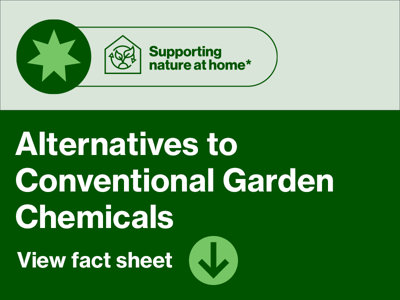 Supporting nature at home - alternatives to convential garden chemicals