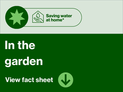 Saving water at home - in the garden