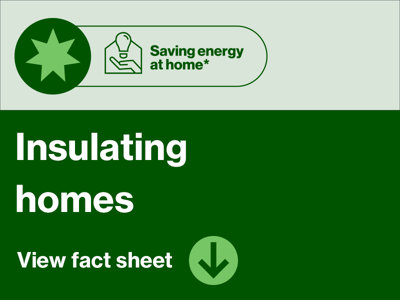 Saving energy at home - insulating homes