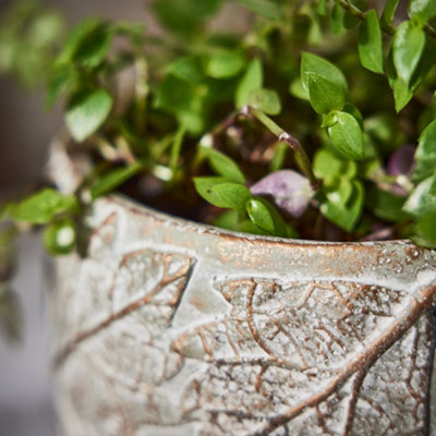 Set of 2 Contemporary Grey Leaf Embossed Small Flower Pots Planter Indoor Outdoor Garden Plant Pots (H) 11cm, (Dia)16cm