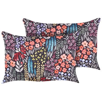 Set of 2 Cushions Multicolour CASTELARO 40 x 60 cm