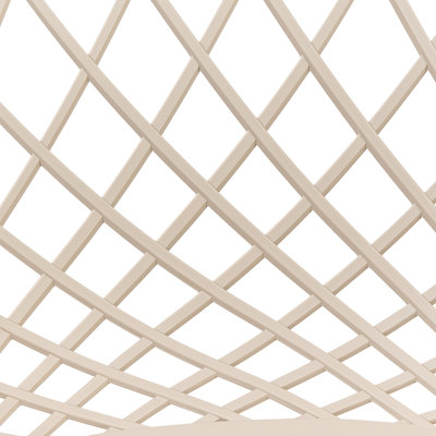 Set of 2 Dining Chairs CANTON II Beige