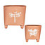 Set of 2 Embossed Butterfly Dragonfly Rustic Indoor Outdoor Garden Plant Pots Footed Terracotta Flower Planter