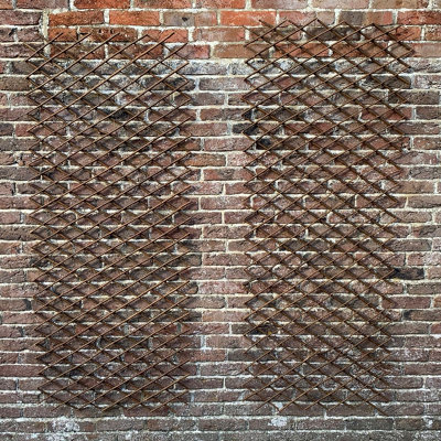 Set of 2 Expanding Willow Garden Trellis (180cm x 60cm) DIY at B&Q