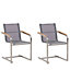 Set of 2 Garden Chairs Grey COSOLETO