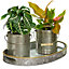Set of 2 Garden Planters and Tray