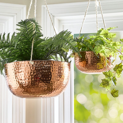 care of philodendron birkin 2024 Guide to Philodendron Birkin Care