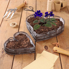 Set of 2 Heart Garden Planter Trays