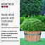 Set of 2 HORTICO Birch Hardwood Round Wooden Half Barrel Planter for Garden, Outdoor Plant Pot Made in the UK D50 H30 cm, 58.9L