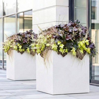 starter pots for plants New Digs Plant Trio with Planter - Medium/Large Top Half Dusty Rose Planters