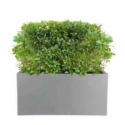 Set of 2 IDEALIST™ 60cm Garden Trough, Grey Reinforced Stone Rectangular Planters, Outdoor Large Plant Pots L60 W30 H30 cm, 54L