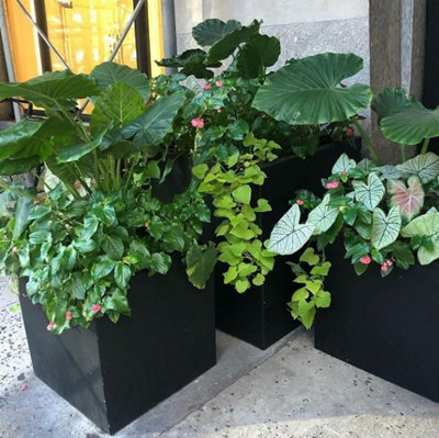 Set of 2 IDEALIST Contemporary Flower Box Square Garden Planters, Black Light Concrete Outdoor Plant Pots H25 L25 W25 cm, 16L