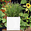 Set of 2 IDEALIST Contemporary Flower Box Square Garden Planters, White Light Concrete Outdoor Plant Pots H25 L25 W25 cm, 16L