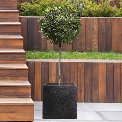 Set of 2 IDEALIST Contemporary Flower Square Garden Planters, Black Terazzo Light Concrete Outdoor Pots H30 L30 W30 cm, 28L
