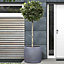 Set of 2 IDEALIST Lite Vertical Ribbed Vintage Style Faux Lead Grey Barrel Garden Round Planters, Outdoor Pots D54 H44 cm, 101L