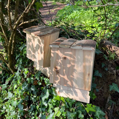 Set of 2 Large Wooden Bat Nesting Roosting Boxes - 5