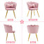 Set of 2 Modern Velvet Upholstered Accent Chair with Butterfly Pillow for Bedroom, Dining Room, Vanity, Cafe, Light Pink