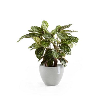 Set of 2 Pieces Antwerp Ecopots 30cm