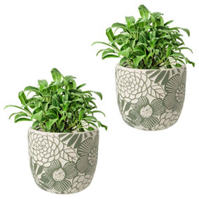 Set of 2 Small Embossed Flower Pots Green & White Botanical Relief Indoor Outdoor Garden Planter Houseplant Succulent Plant Pots