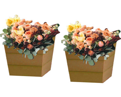 Set of 2 Small  Winawood Planters - New Teak