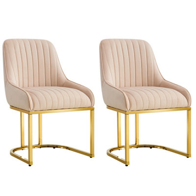 Set Of 2 Velvet Dining Chairs Luxury Padded Dining Room Chairs Armless ...