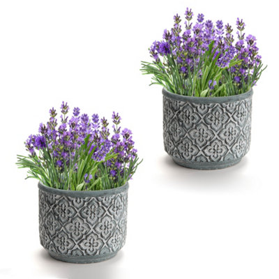 Set of 2 Vintage Embossed Trellis Design Large Flower Planter Indoor Outdoor Plant Pot (H) 16cm, (Dia)19cm