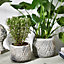 Set of 2 Vintage Gold Small & Large Embossed Floral Design Indoor Outdoor Garden Plant Pot