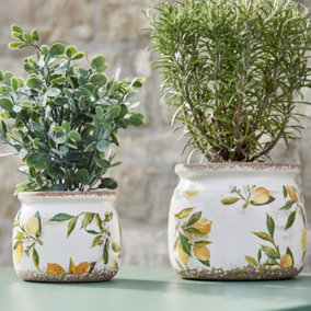 Set of 2 Vintage Style Small & Large Botanical Print Indoor Outdoor Garden Plant Pot Lemon Flower Planter