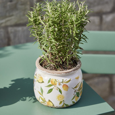 Set of 2 Vintage Style Small & Large Botanical Print Indoor Outdoor Garden Planter Lemon Flower Plant Pots