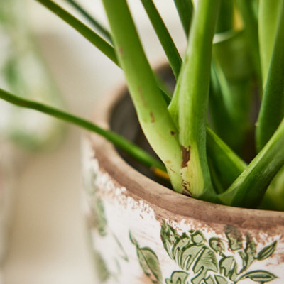 Set of 2 Vintage Style Small & Large Ceramic Botanical Indoor Outdoor Garden Plant Pot Flower Planter (Dia) 19cm, (H)19cm
