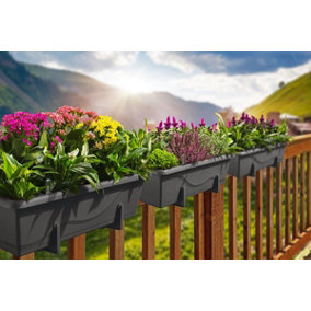 Set of 2x 400mm - Self-watering  planters, troughs, Flowerpots for balconies - W39 D21 H17cm, 7.8L - Self-watering - Anthracite