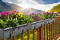 Set of 2x 600mm - Self-watering  planters, troughs, Flowerpots for balconies - W60 D21 H17cm, 12.4L - Self-watering - Stone Grey