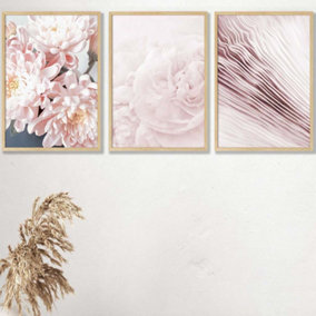 Set of 3 Abstract Pink Macro Floral Wall Art Prints / 42x59cm (A2) / Oak Frame