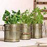 Set of 3 Aged Zinc Indoor Outdoor Garden Planter Pots