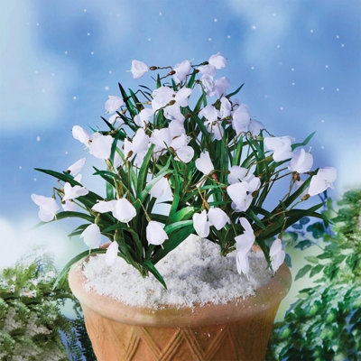 Set of 3 Artificial Snowdrop Picks, Weather Resistant and Maintenance ...