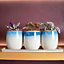 Set of 3 Blue and Cream Reactive Glaze Ceramic Planters with Tray