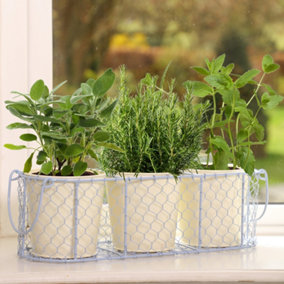 Set of 3 Blue and Cream Summer Indoor Herb Planter Pot with Wire Basket