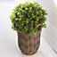 Set of 3 Camille Planters - Lightweight All Weather Frost-Proof Faux Wicker Basket Plant Pots - Measure 24, 39 & 46cm Tall