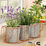 Set of 3 Copper and Zinc Indoor Planter with Wire Basket