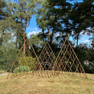 Set of 3 Expanding Willow Garden Obelisks (1.2m) Ideal for Climbing Plants