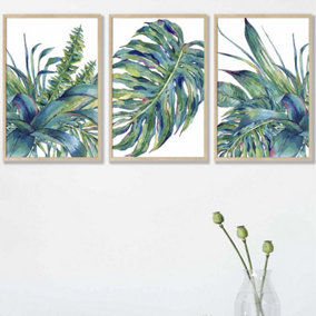 Set of 3 Framed Blue Green Watercolour Tropical Leaves Wall Art Prints / 42x59cm (A2) / Oak Frame