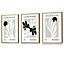 Set of 3 Framed Matisse Floral Cut Out Style in Black & Beige / 30x42cm (A3) / Oak