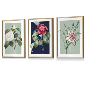 Set of 3 Framed Vintage Flowers Camellia Blue and Green / 30x42cm (A3) / Oak