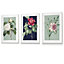 Set of 3 Framed Vintage Flowers Camellia Blue and Green / 30x42cm (A3) / White