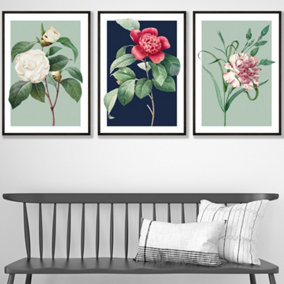 Set of 3 Framed Vintage Flowers Camellia Blue and Green / 42x59cm (A2) / Black