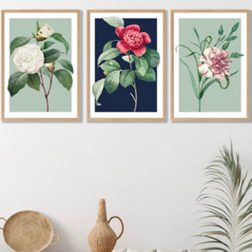 Set of 3 Framed Vintage Flowers Camellia Blue and Green / 42x59cm (A2) / Oak
