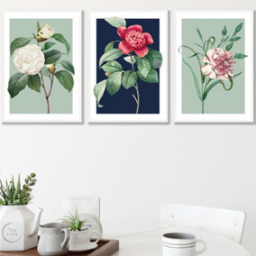 Set of 3 Framed Vintage Flowers Camellia Blue and Green / 42x59cm (A2) / White