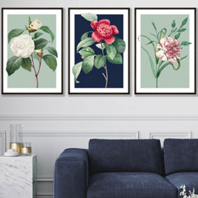 Set of 3 Framed Vintage Flowers Camellia Blue and Green / 50x70cm / Black