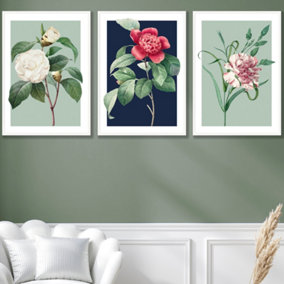 Set of 3 Framed Vintage Flowers Camellia Blue and Green / 50x70cm / White