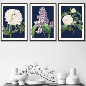 Set of 3 Framed Vintage Flowers Lilac, Peony and Camellia on Navy Blue / 30x42cm (A3) / Black
